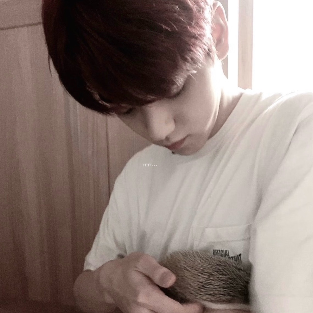 对不起 总是离你那么远 其实我的心也好想 好想再靠近你一点-崔秀彬｜头像分享｜氛