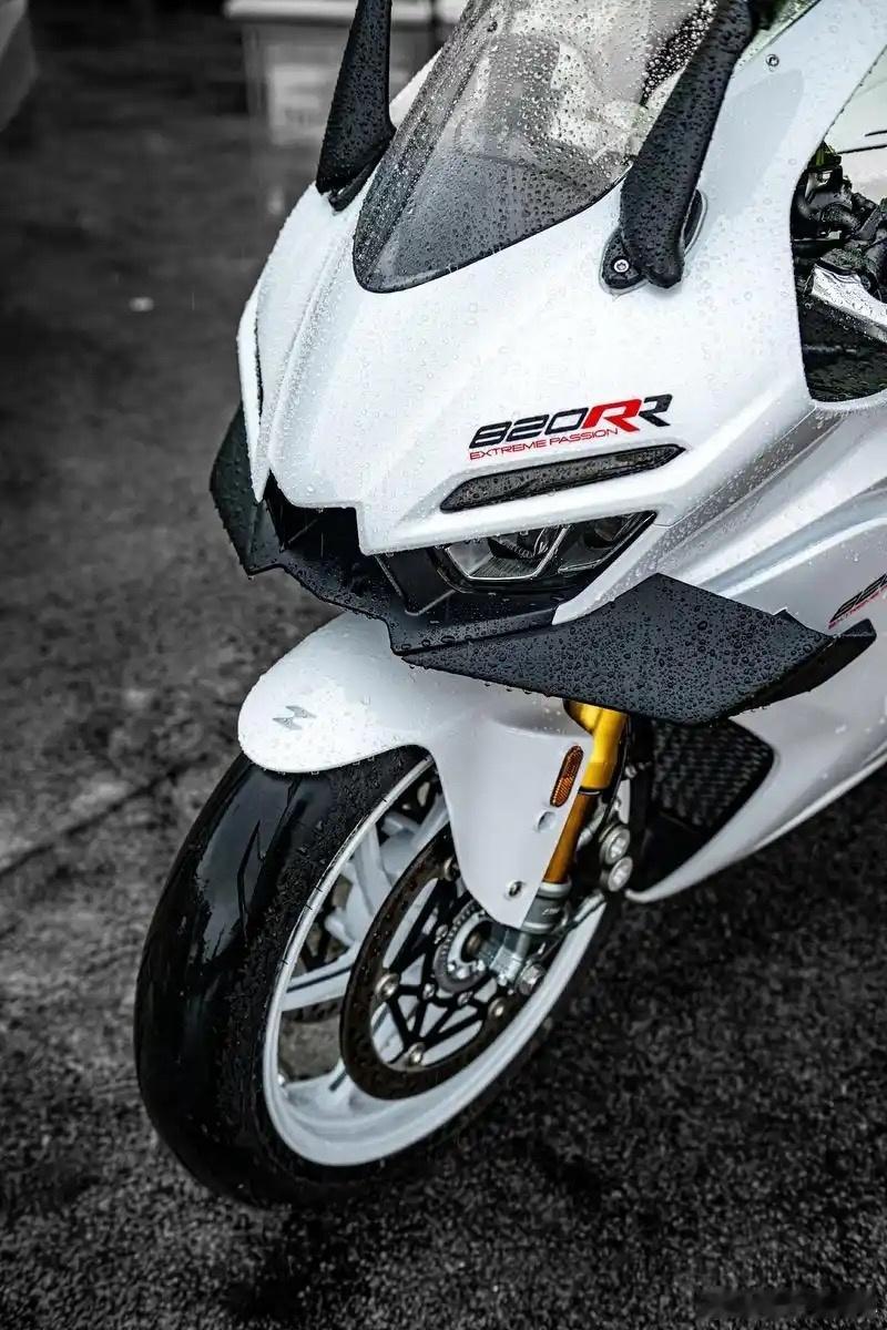 张雪机车虽然说势头很猛，但是是想买820的第一批尽量不要买，观望一下，国产摩托车