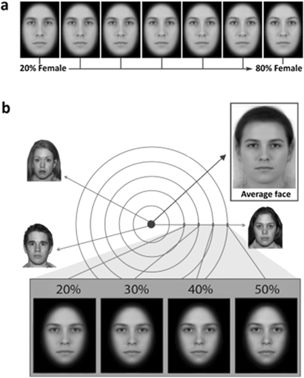 prosopagnosia，人面失认症，俗称“脸盲” 