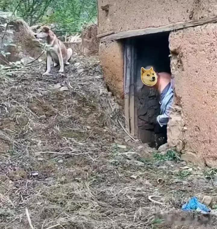 夫妻之间的忠诚应该是婚姻中的强制义务，不会因为时空的变化而变质。但实际上，当夫妻