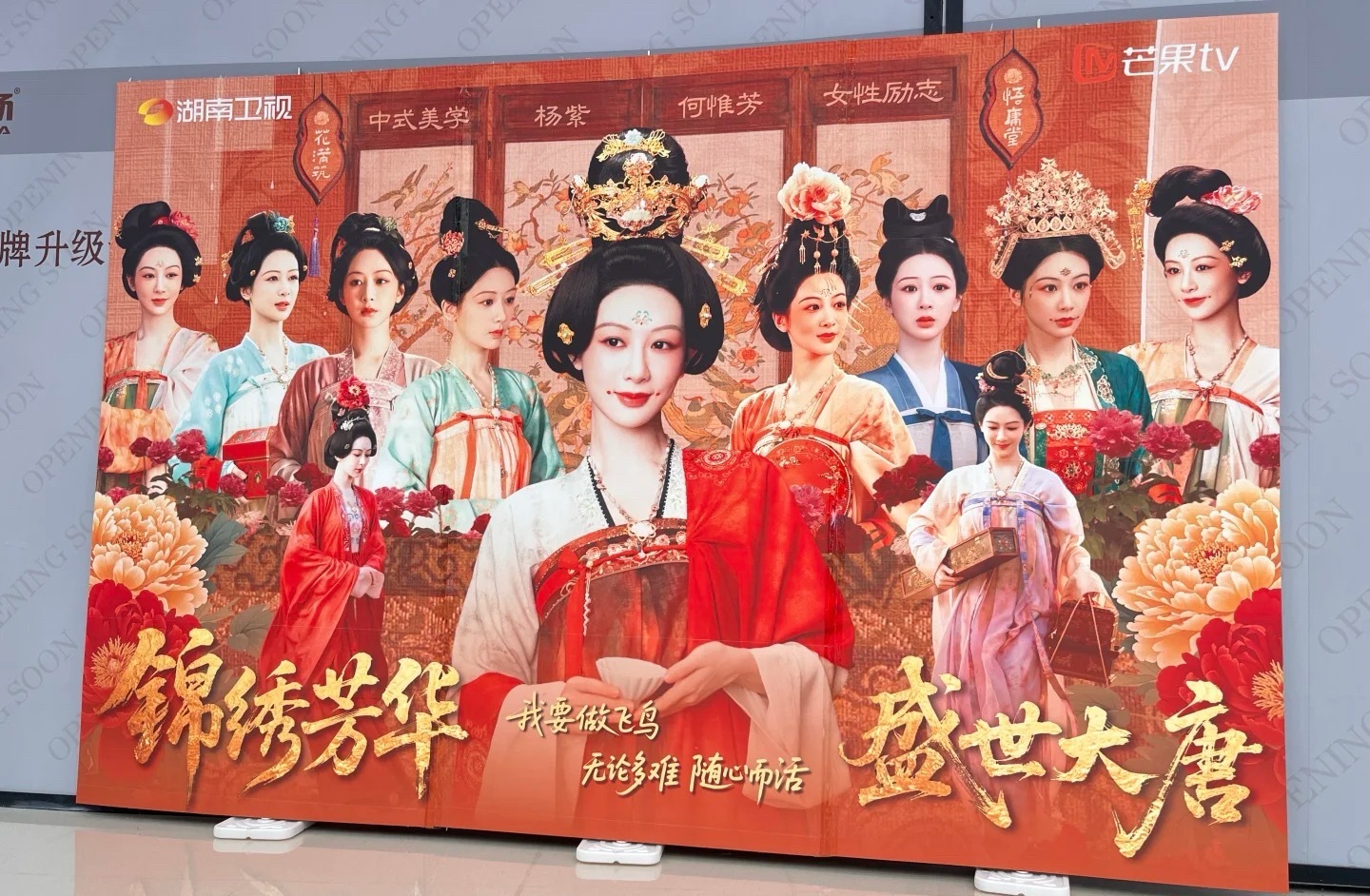 杨紫锦绣芳华地宣 ​​​