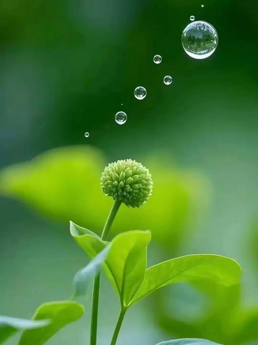 这两天有两条让大部分网友欣慰的消息:网红人物蒋方舟和贾浅浅的硕士学位被相关学校取