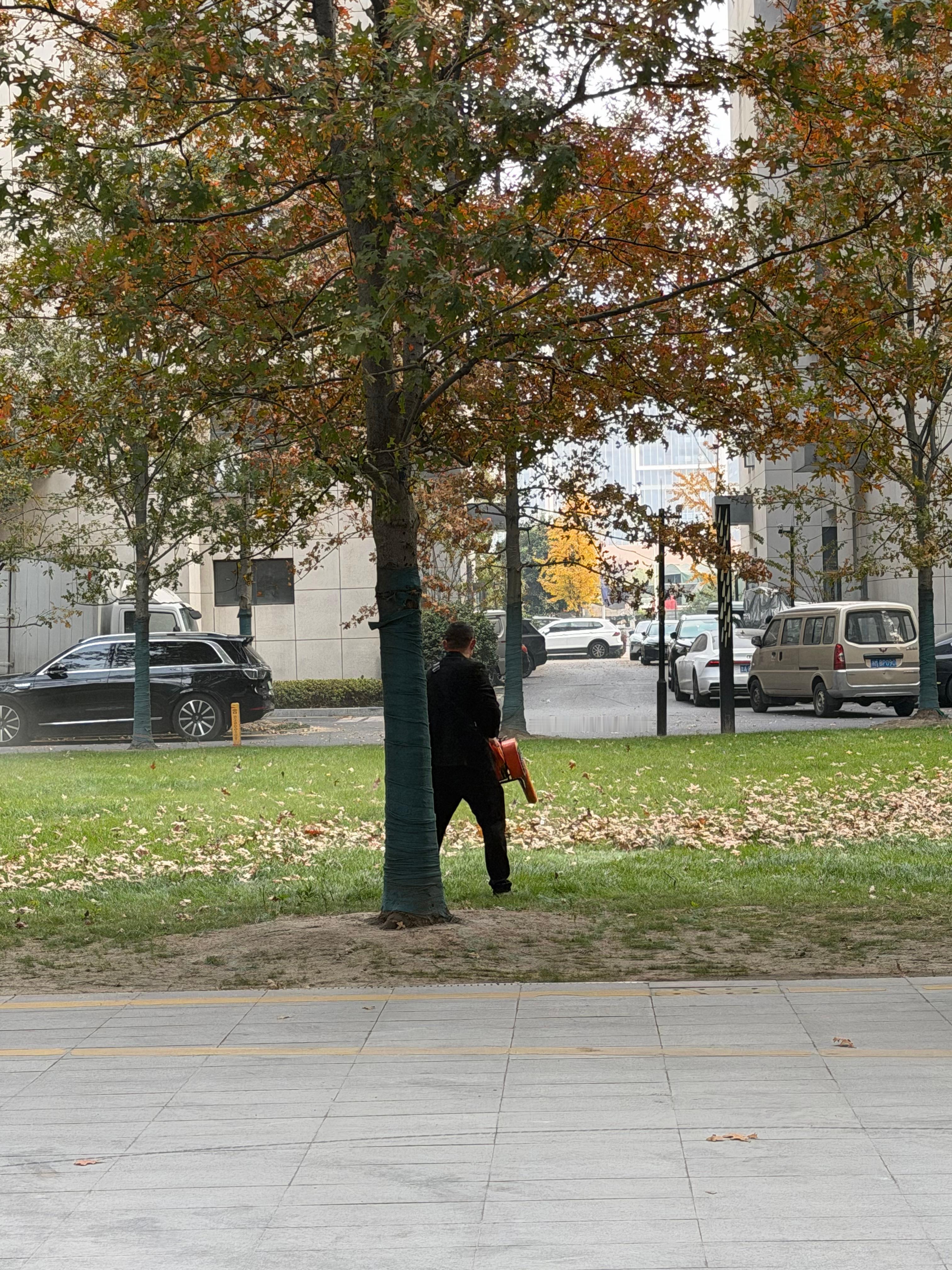 神人物业大中午的吹树叶吵得要死