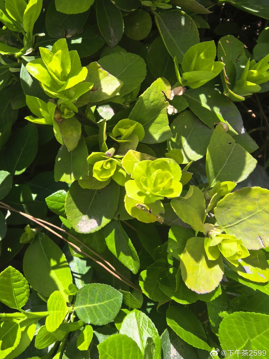 一条plog告别三月今天是3月的最后一天。回望生机勃勃的3月，春和景明，万物萌生