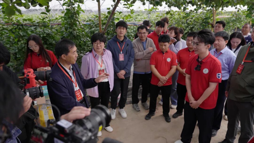 为“一粒米”而战斗