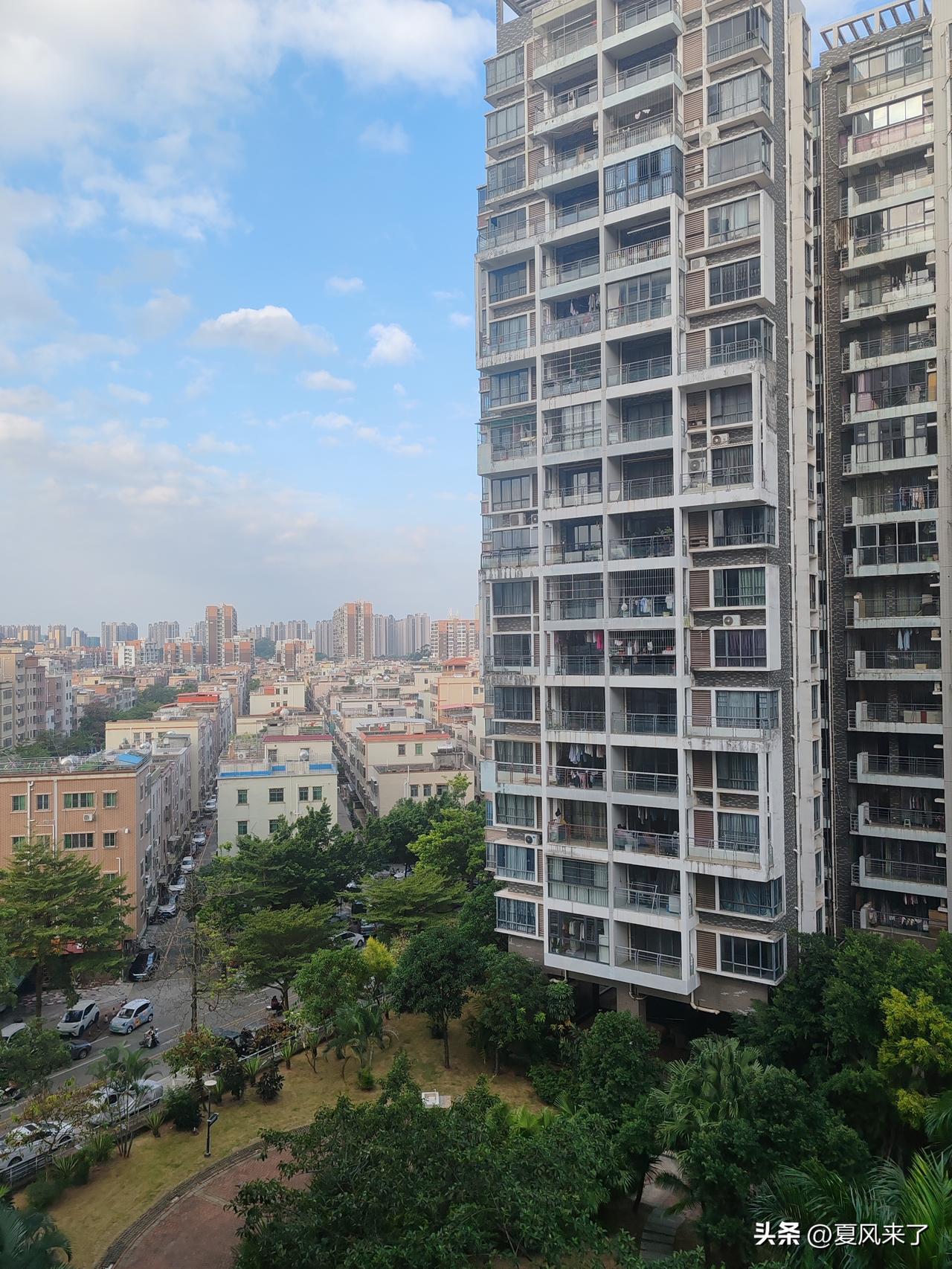 深秋的早晨，空气格外清新，真是晨练的好时光，可惜已有一段时间没有早起运动了。昨晚