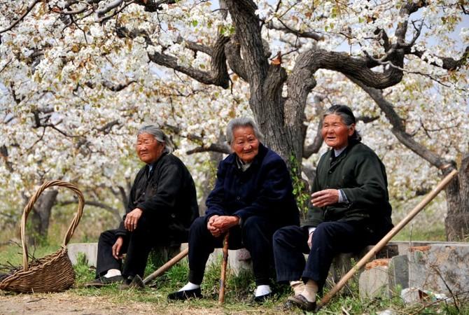 老人怎样才能长寿、高质量过晚年？保持年轻的心态，是最重要的。
我们的老人往往受到