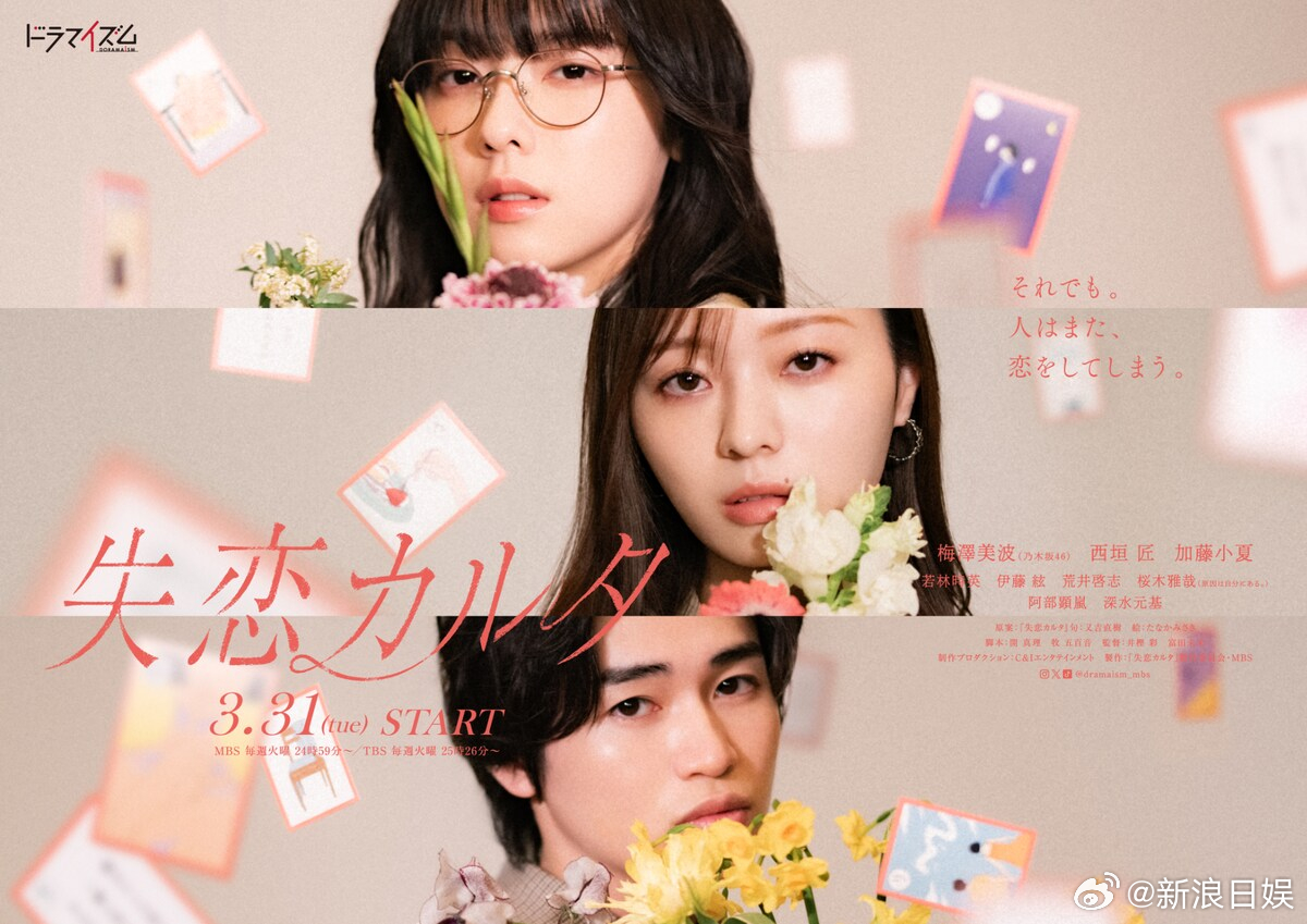 海外影视速递梅泽美波西垣匠加藤小夏三人主演的电视剧《失恋歌牌》确认樱木雅哉（原因