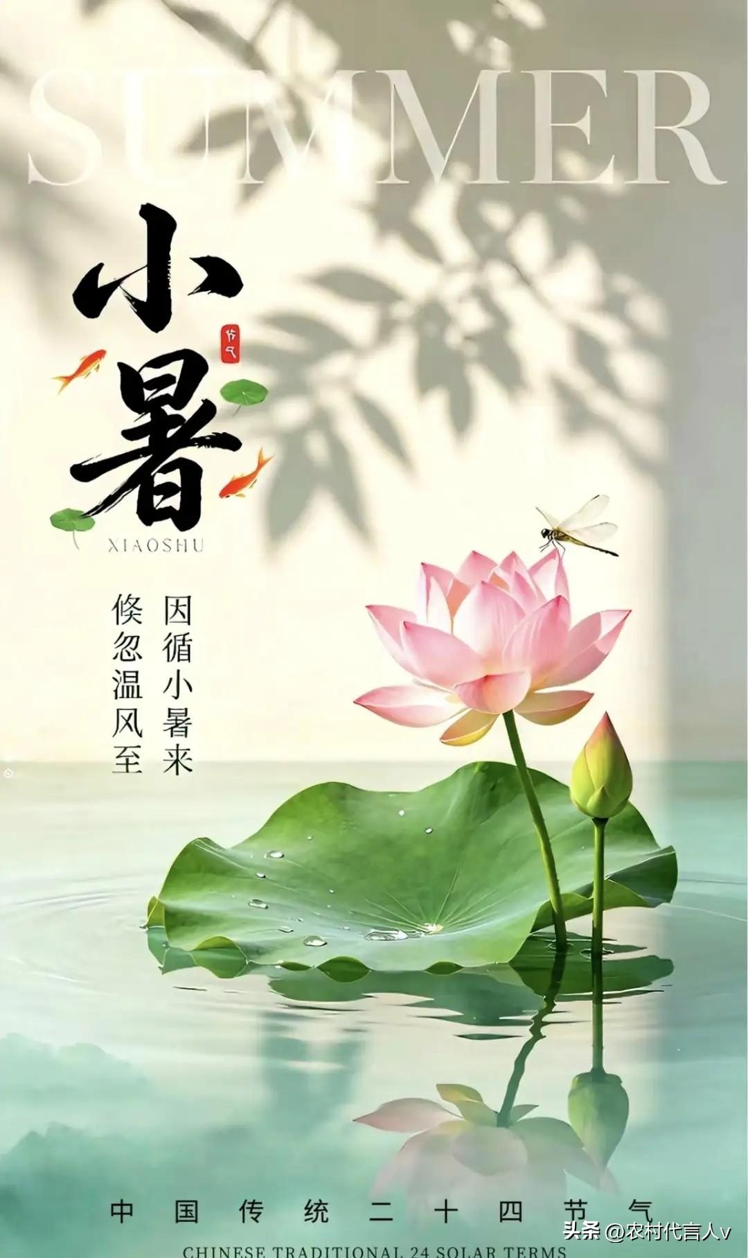 7月7日是“小暑”，牢记：1要躲，2要坐，3要吃，记得告诉家人
 
“小暑大暑，