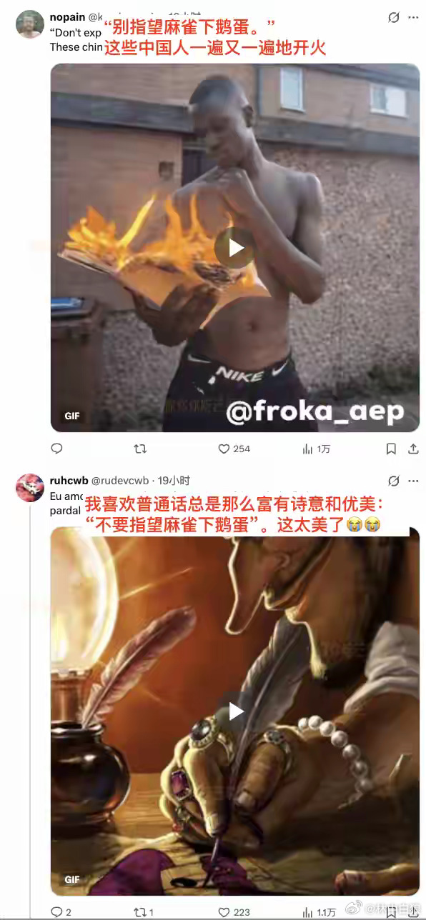 中国网友随口一句“别指望麻雀下鹅蛋”，外网网友如获至宝。 ​​​