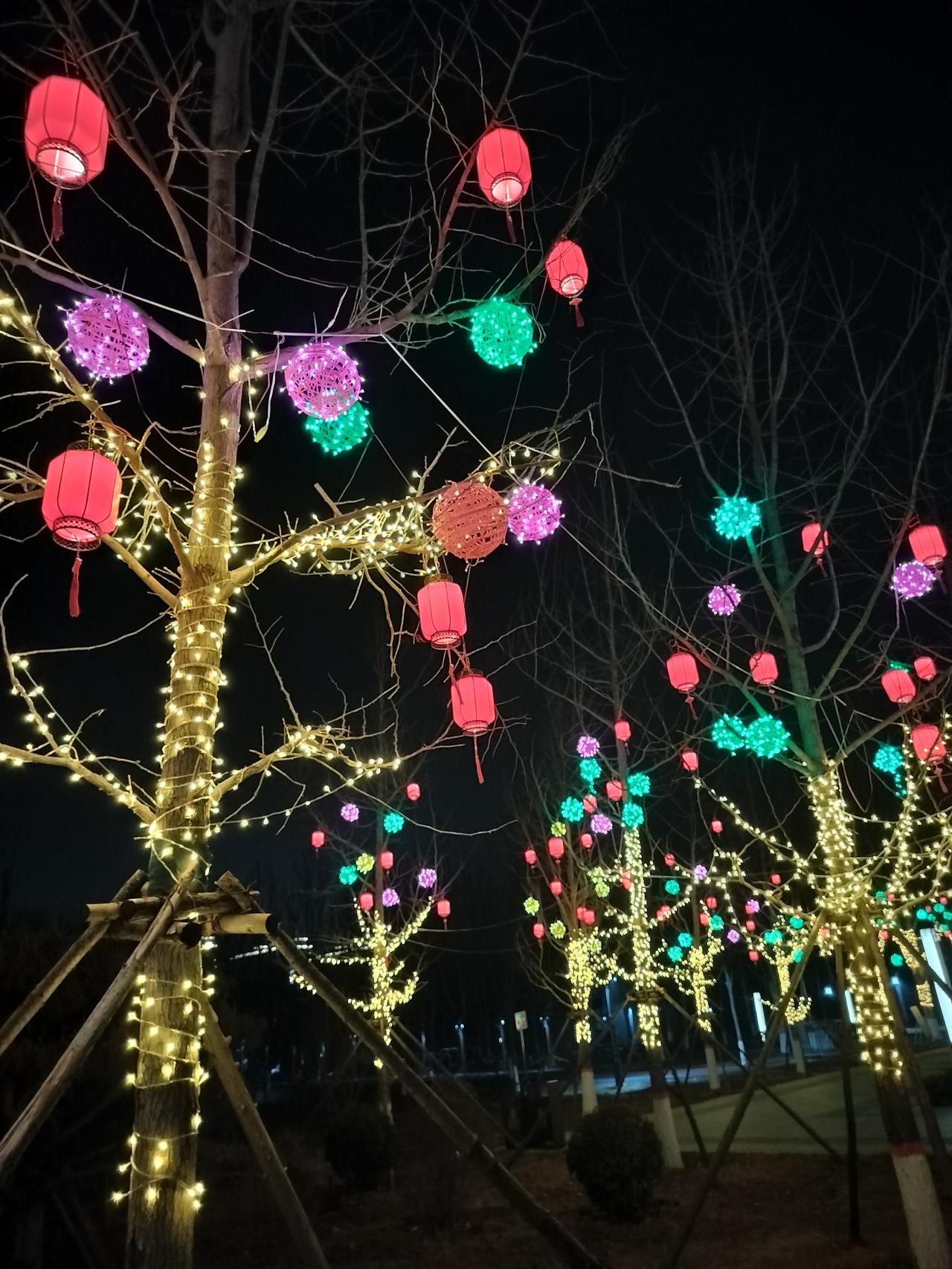 今天周末了，可以安心的在家休息一天了，虽然上班也不累，但是心情是不一样的。这是名