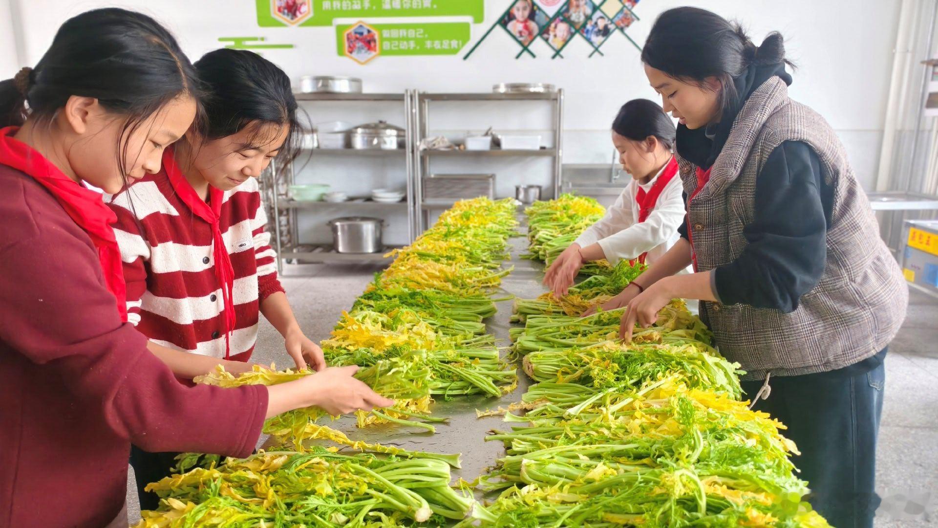 绍兴嵊州市马寅初小学的劳动基地里热闹非凡，一场以“种植-腌制-烹饪”为链条的劳动