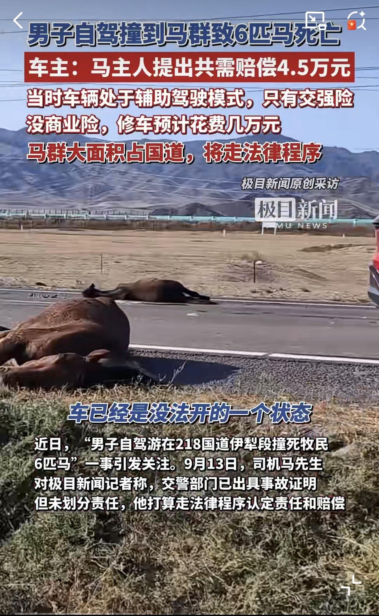 大家自驾游出行一定要记得上商业险，再怎么也的有个第三者，不怕一万就怕万一！

近
