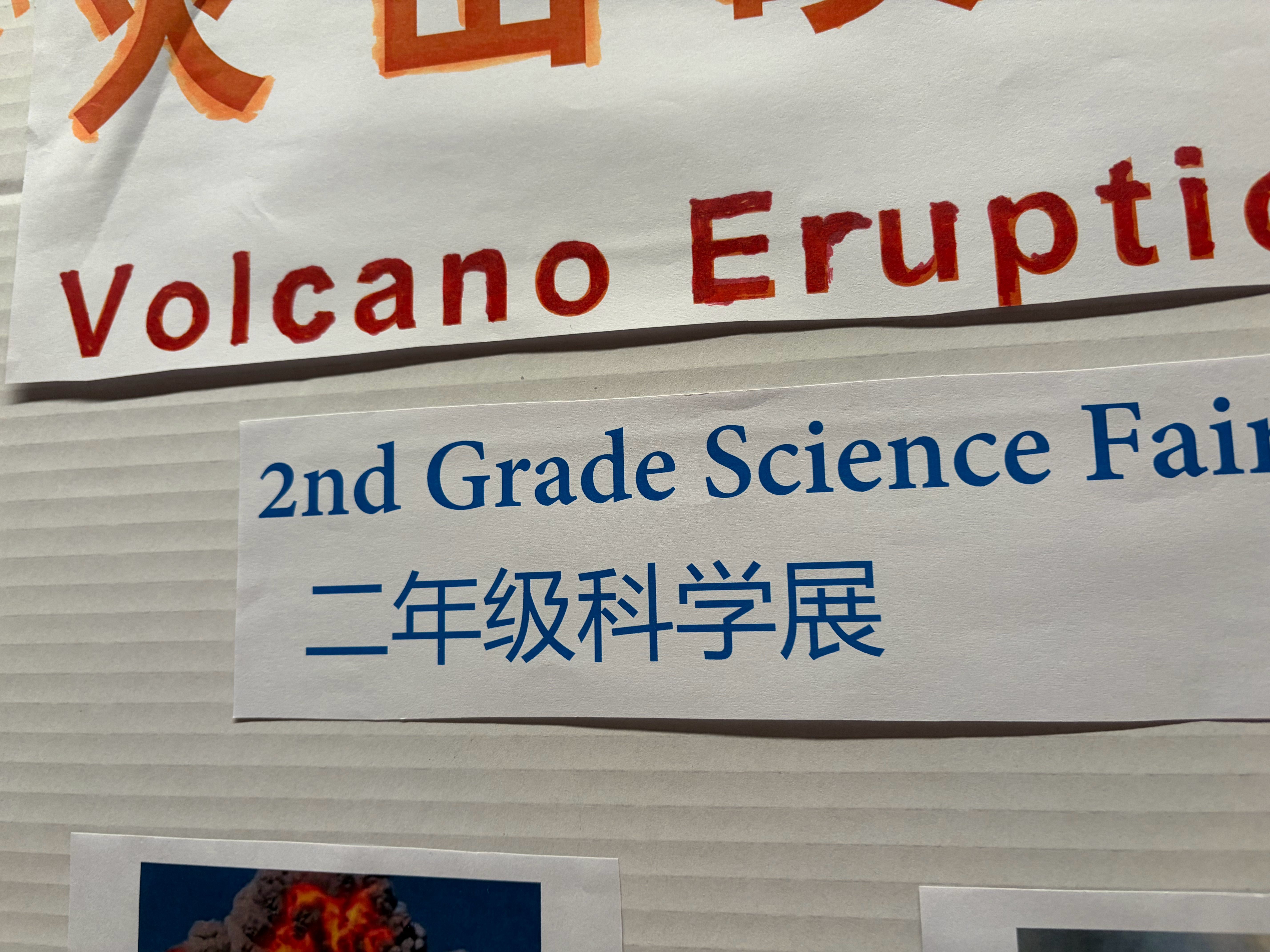 不是哥们，这是二年级该干的吗…… 