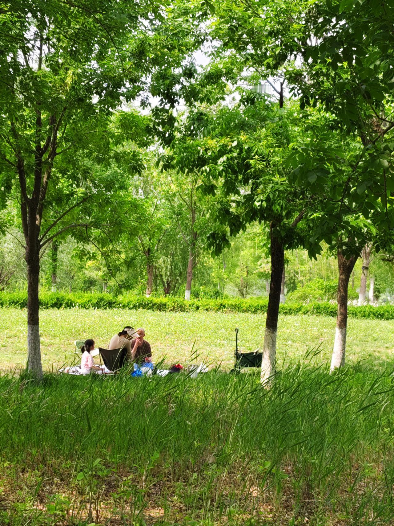 大美济南，华山历史文化公园风景太惊艳了！昨天中午，给外孙去学校送饭顺便去了华山历