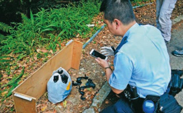 香港富豪孙女绑架案细节曝光，背后细节细思极恐
 
近日，备受关注的香港富豪孙女绑