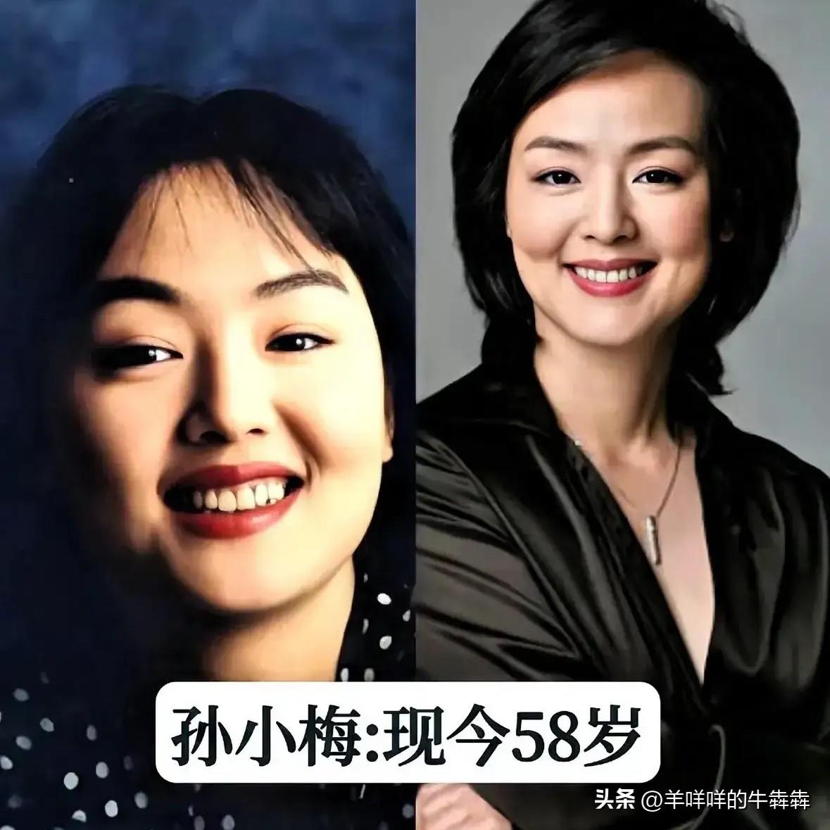 董卿、周涛、倪萍、朱迅、李红、敬一丹、王小丫、张蕾、孙小梅、王雪纯、徐俐、李雨霏
