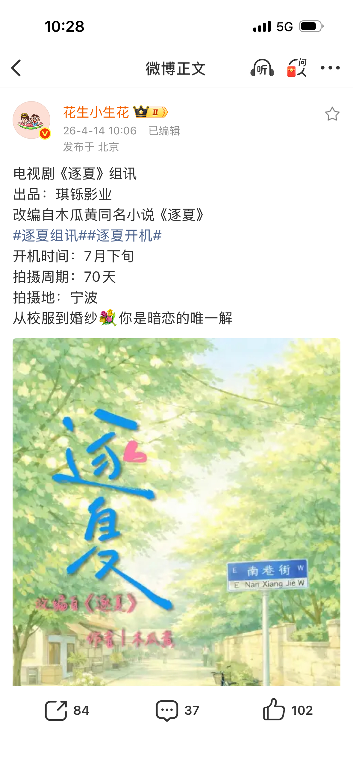 3️⃣🈷️说要影视化现在出组讯了🍃🍃🍃逐夏