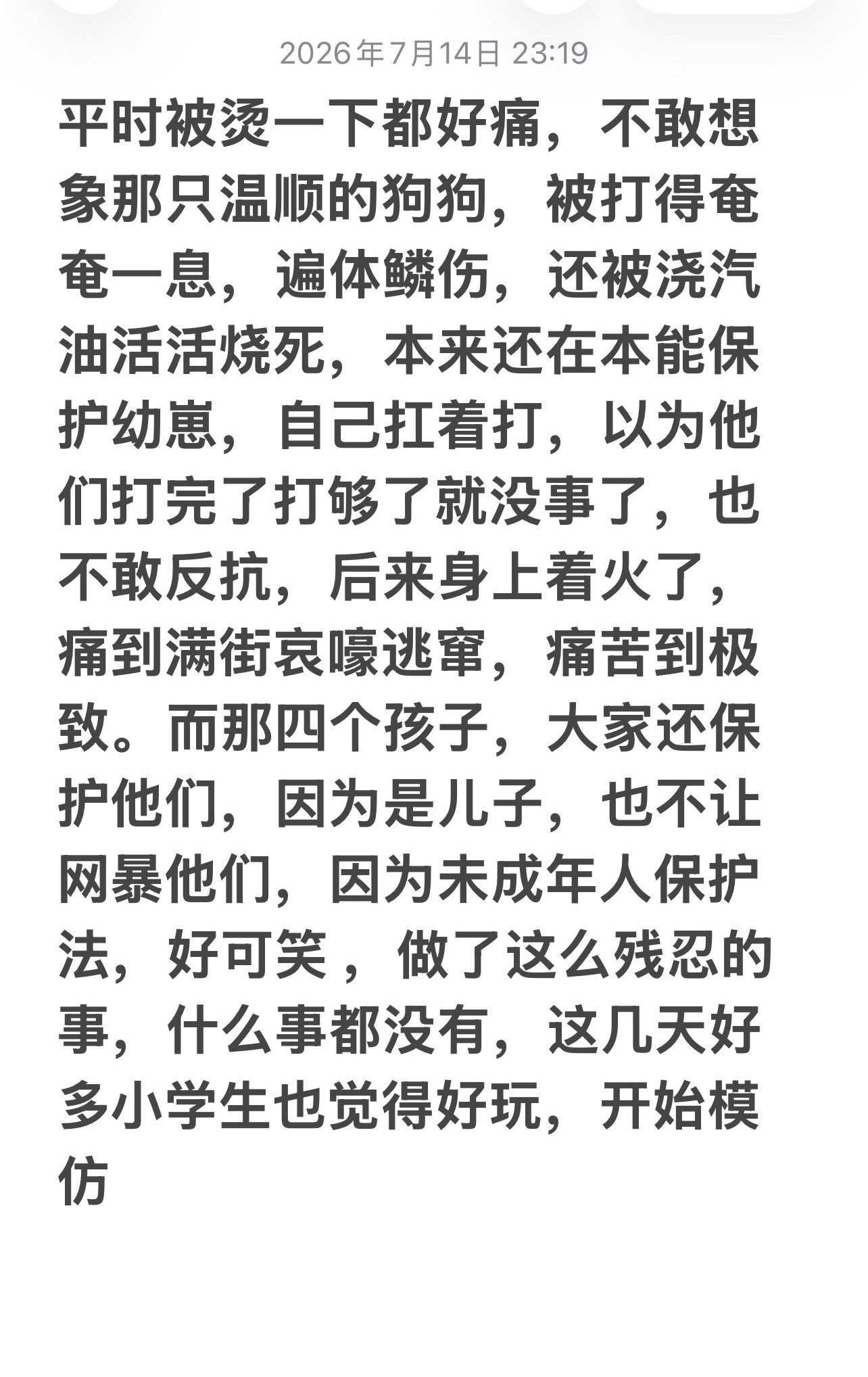陈乔恩发声