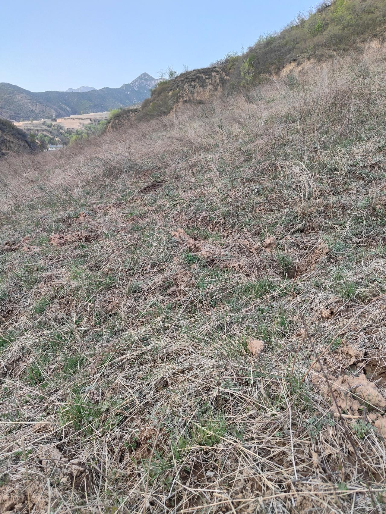 通过互动交流，引导学生思考父母赚钱艰辛，淡化物质追求。引导学生思考父母赚钱艰辛、