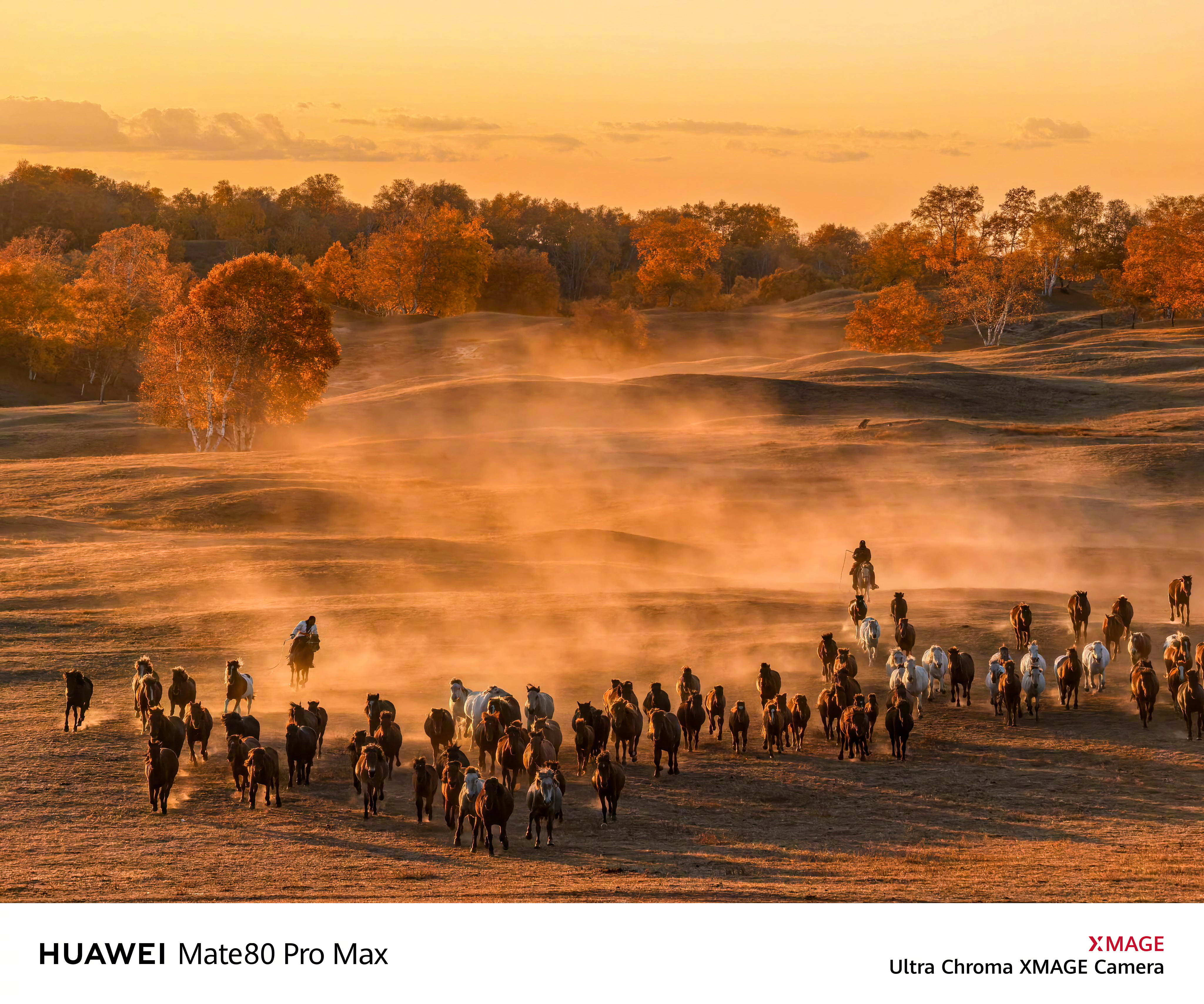 华为上了红枫之后影像直接就起飞了，Mate80系列还用了第二代红枫影像，大家看看