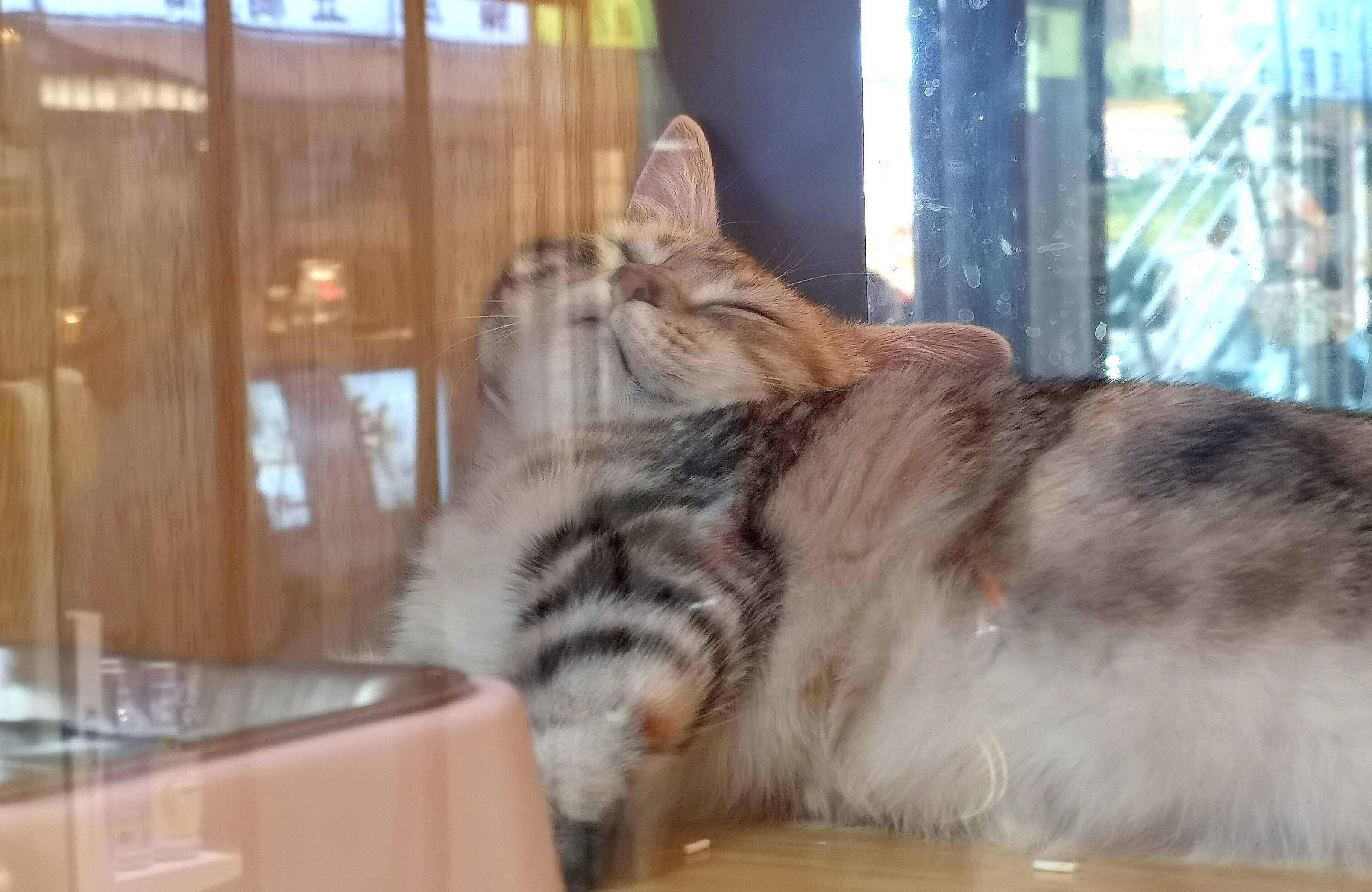 醒乃！！ ​​​