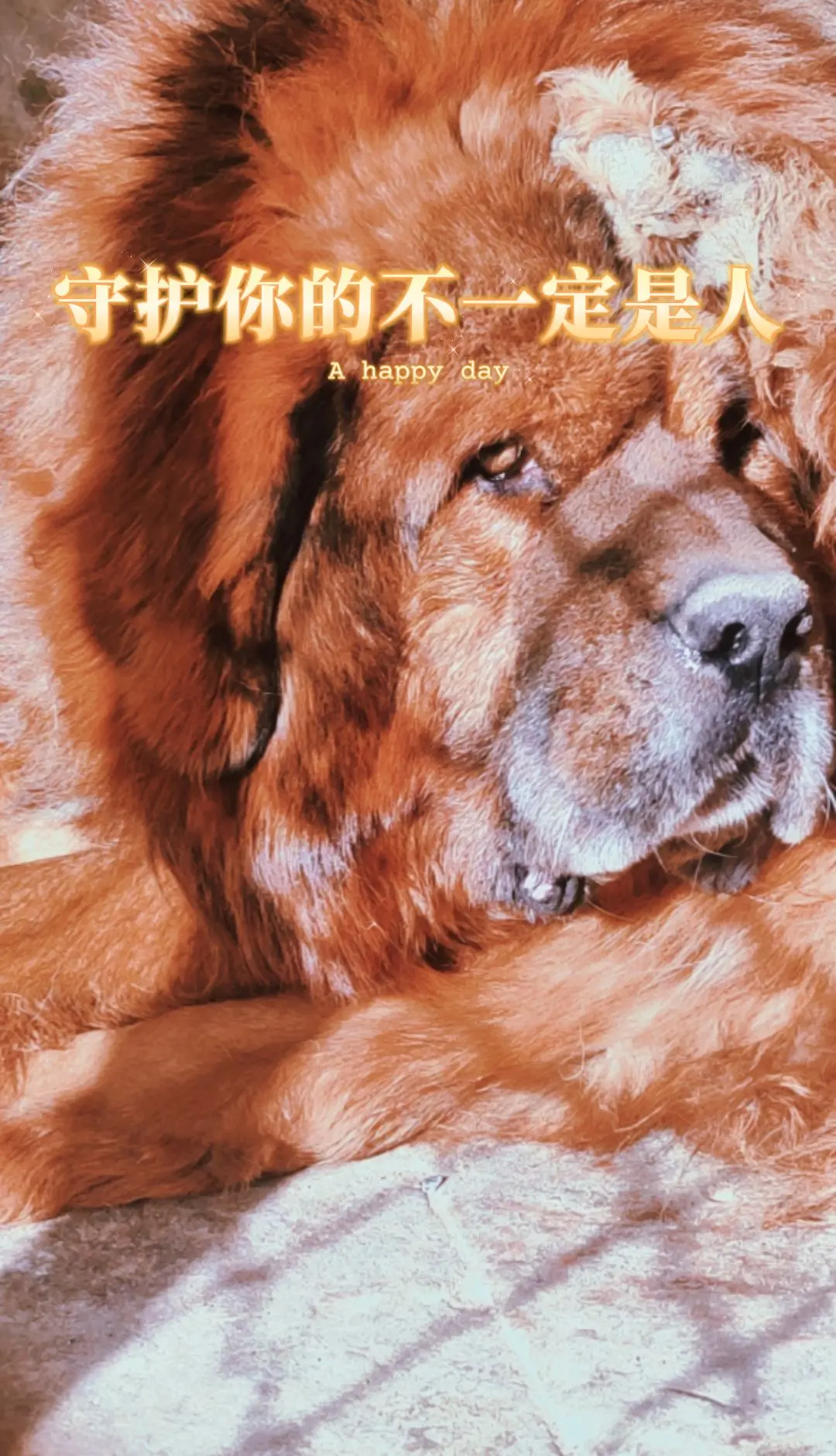 这是个真实的事情