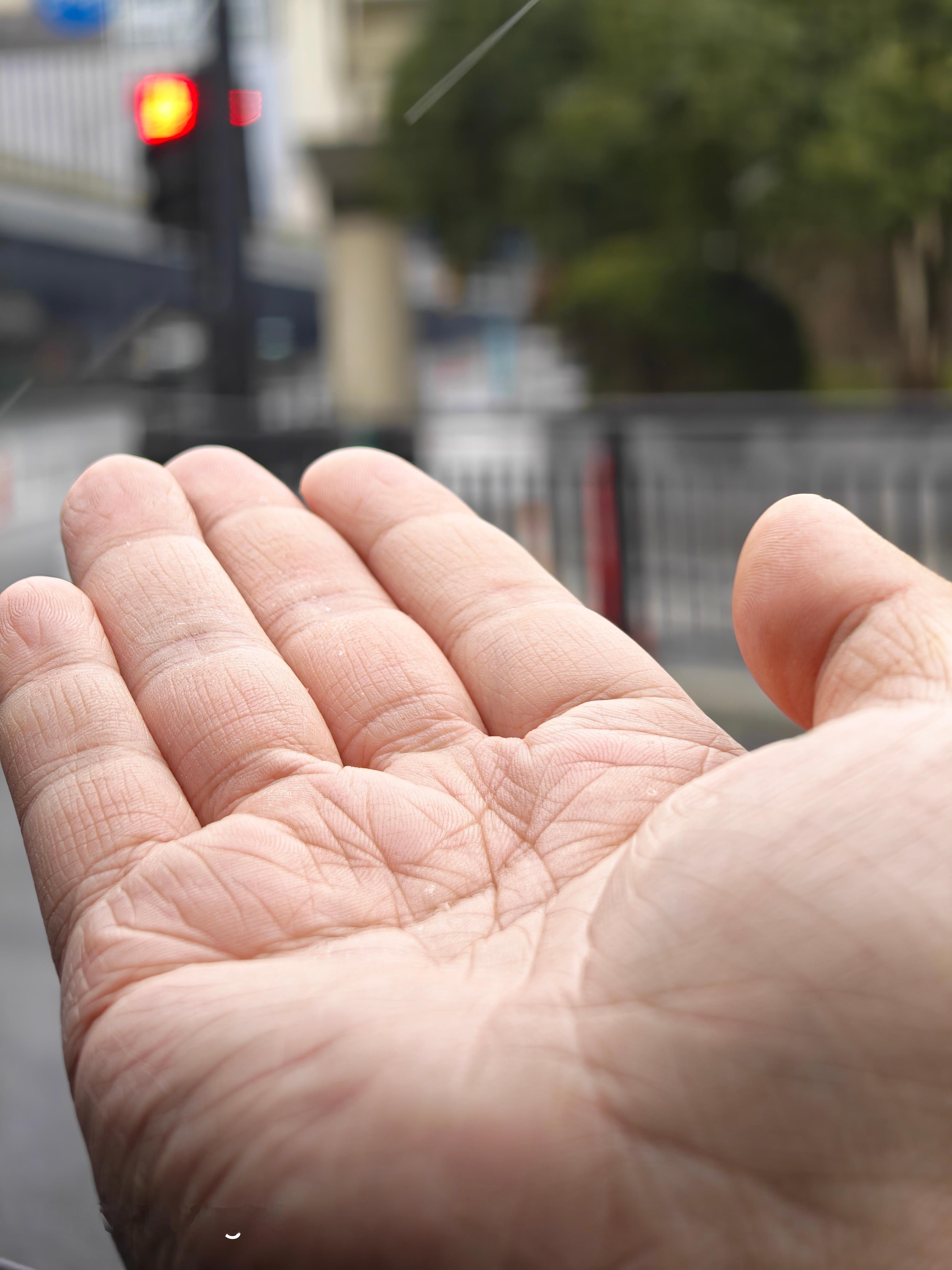 杭州出租车都是比亚迪的了，坐着还挺舒服的，杭州现在在下雪了～要是厚厚的积雪，断桥
