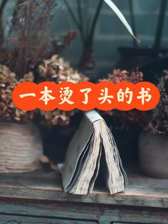 借到一本烫了头的旧书