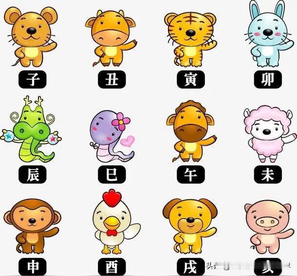 十二属相中最有名的中国体育双子星

鼠🐀：郎平、樊振东
牛🐄：邓亚萍、吴敏霞