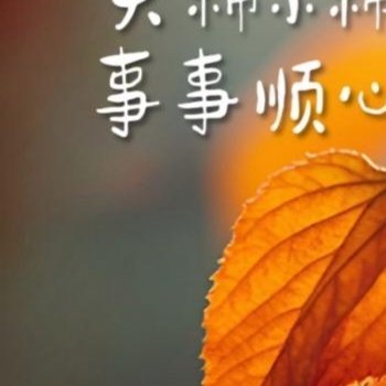 朝阳升起，唤醒崭新日常。人生没有白走的路，每一次拼搏都有意义。保持热爱与专注，稳