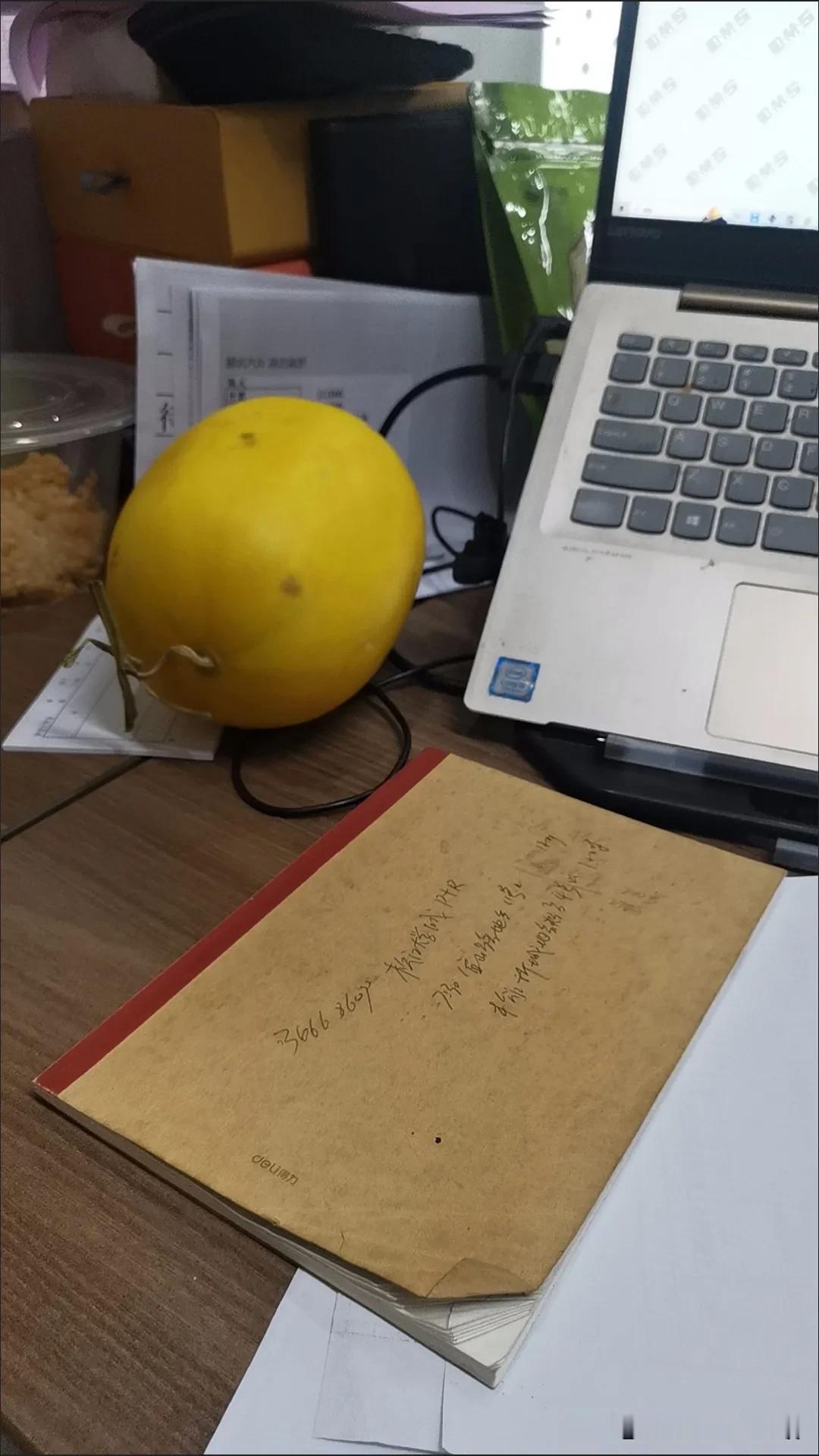 周一，挣窝囊废了，有工作有工资，中年人的快乐和坚持