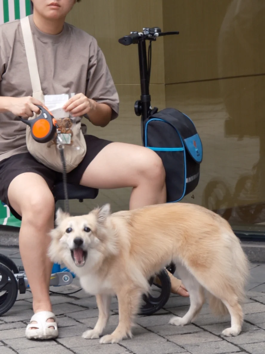 ⬅️ 左滑看小狗狗惊恐变脸