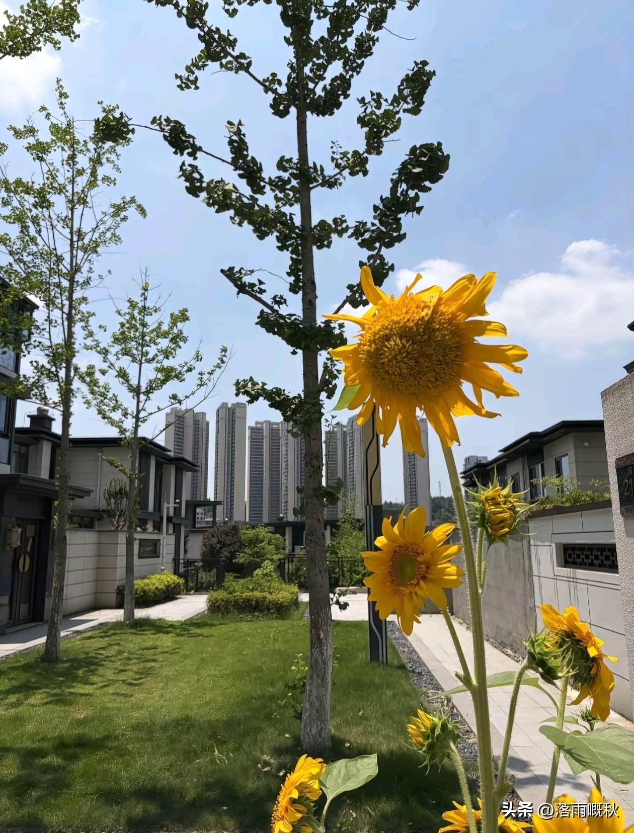 📝 𝓰𝓸𝓸𝒹 𝓂𝓸𝓇𝓃𝒾𝓃𝓰☀️


     走着走着