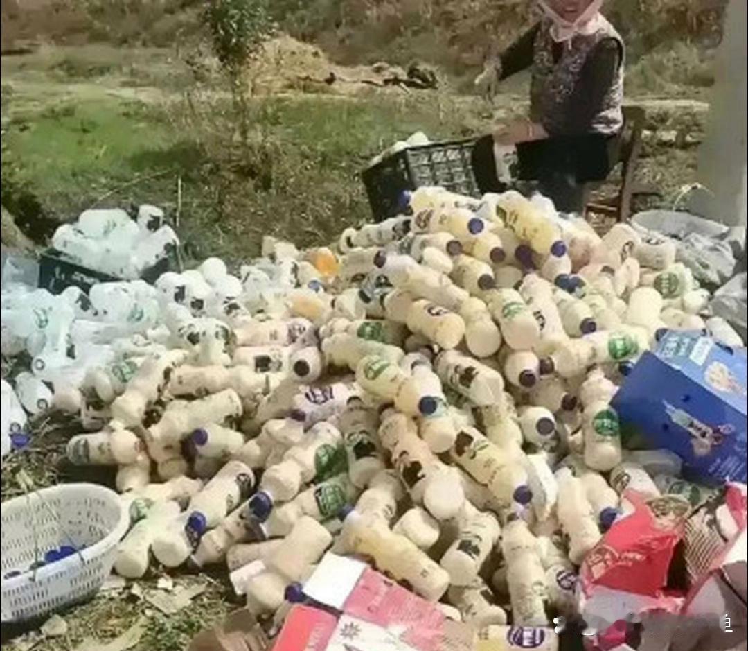 村后面的垃圾场看到的。这么一大堆，就这么扔了，多浪费啊......真希望有人能变