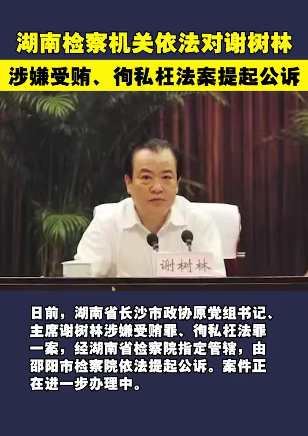 最高人民检察院。湖南检察机关依法对谢树林涉嫌受贿、徇私枉法案提起公诉