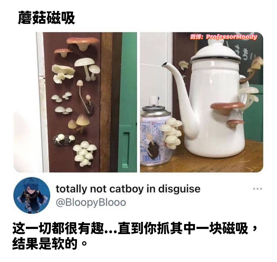 买一只恶搞老妈#meme# /#笑料江湖争霸赛# ​​​