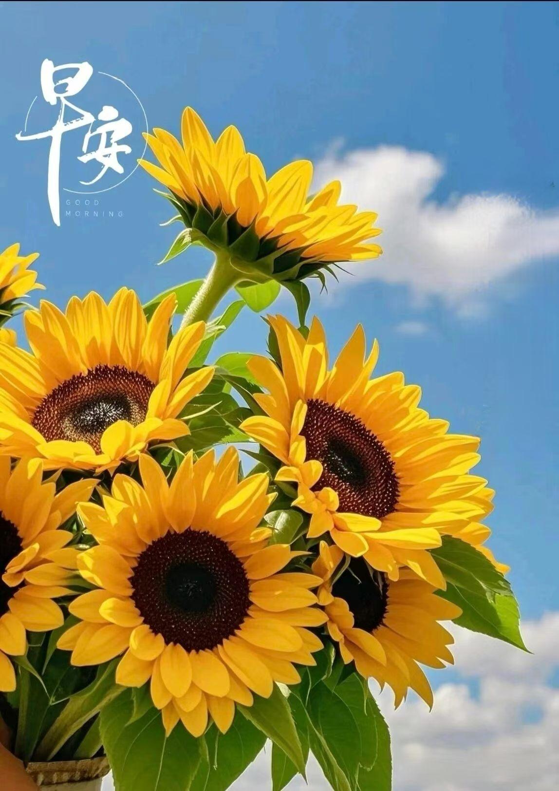 生活，从来经不起折腾，也容不下复杂。太多人活得疲惫，不是生活太难，是我们想要的太
