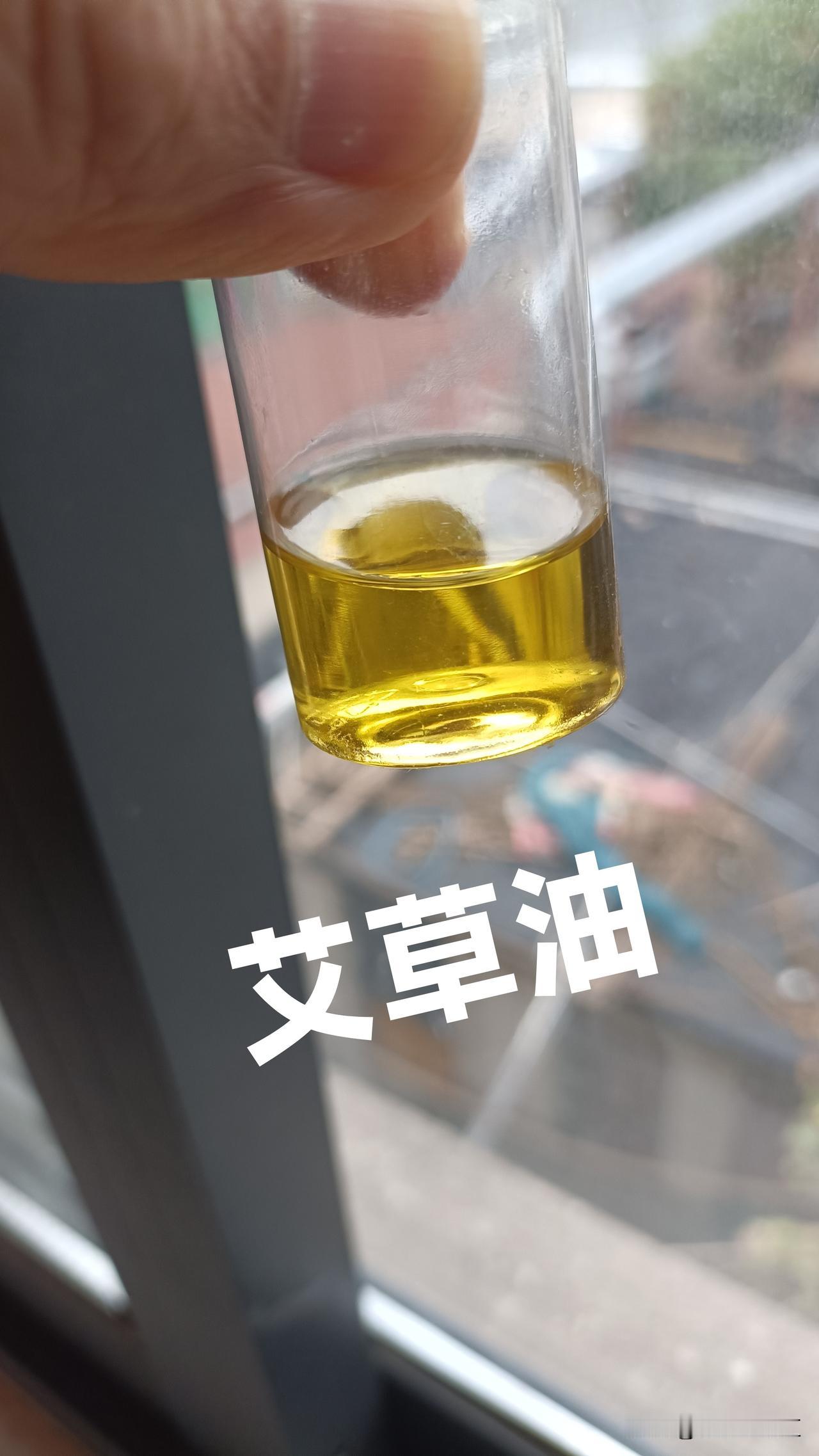 这是她送给我媳妇的艾油，纯净如汽油，还有一整瓶珍珠粉油，据说两者都美白，被媳妇视