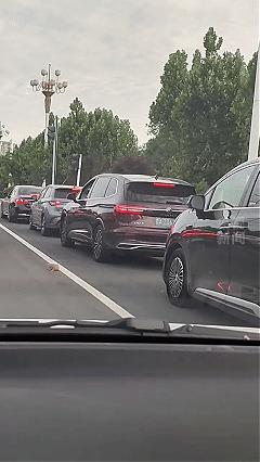 火上央视新闻了！近日山东聊城晚高峰车流如织，一只误入马路的小奶猫惊恐无助，时刻命