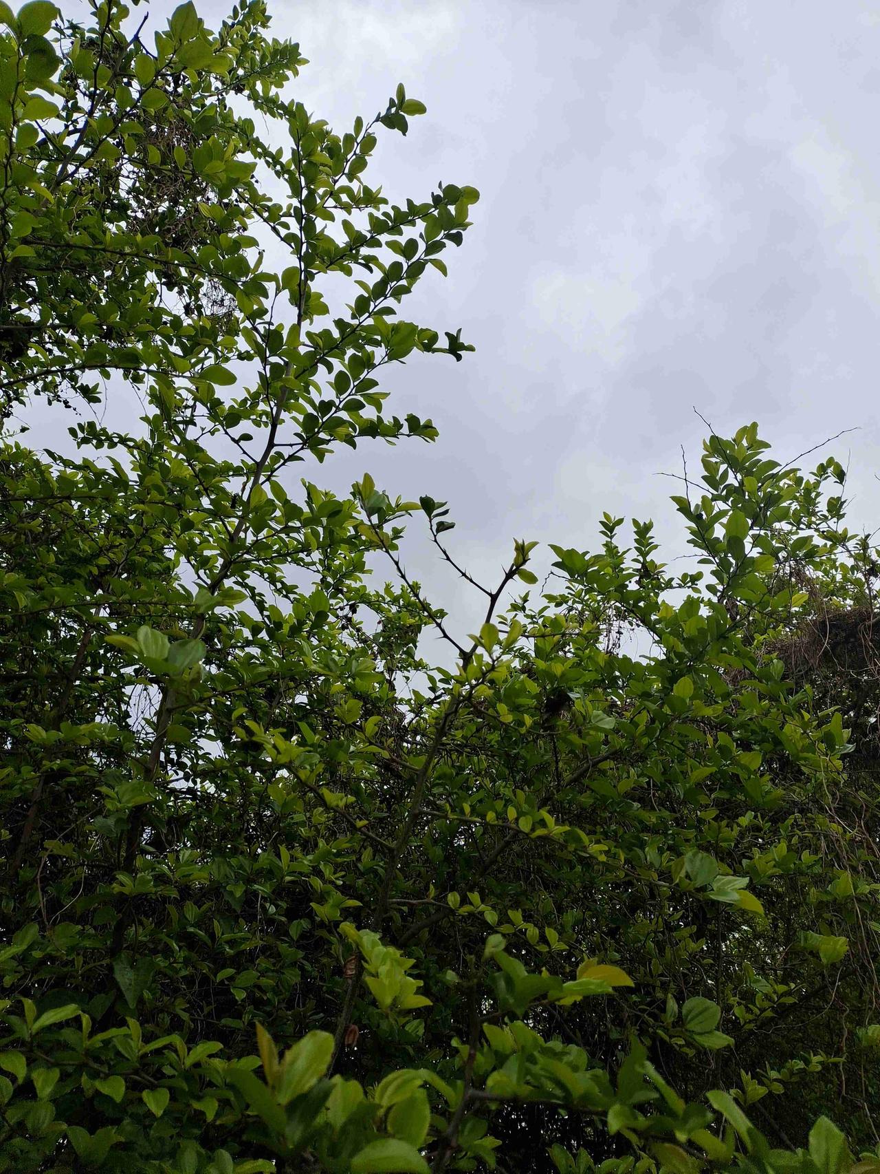 无论你家的孩子是男孩还是女孩，都别把他们养成温室的花朵！身边一个真实案例，被宠大