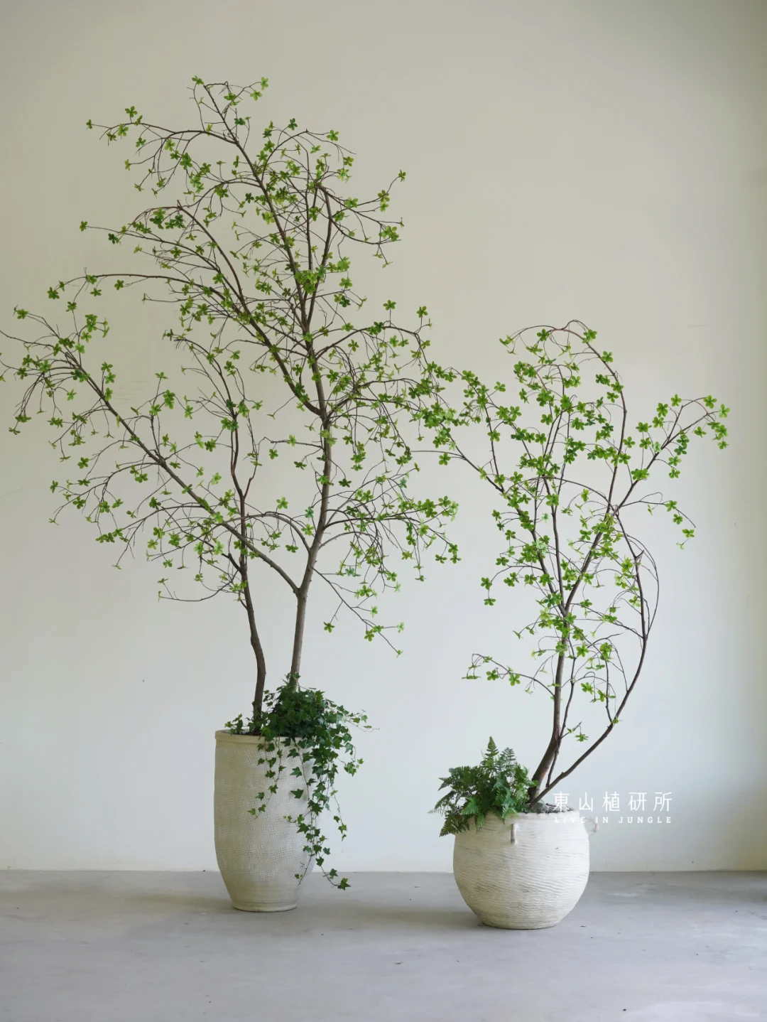 植物组盆|手工仿真树设计