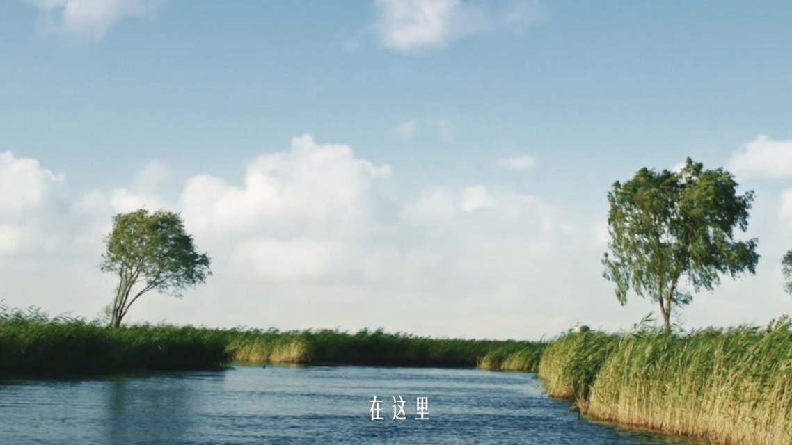 飞鹤让纯净有了具象的模样齐齐哈尔原来就是天然牧场的意思，这里藏着北纬47°最纯净
