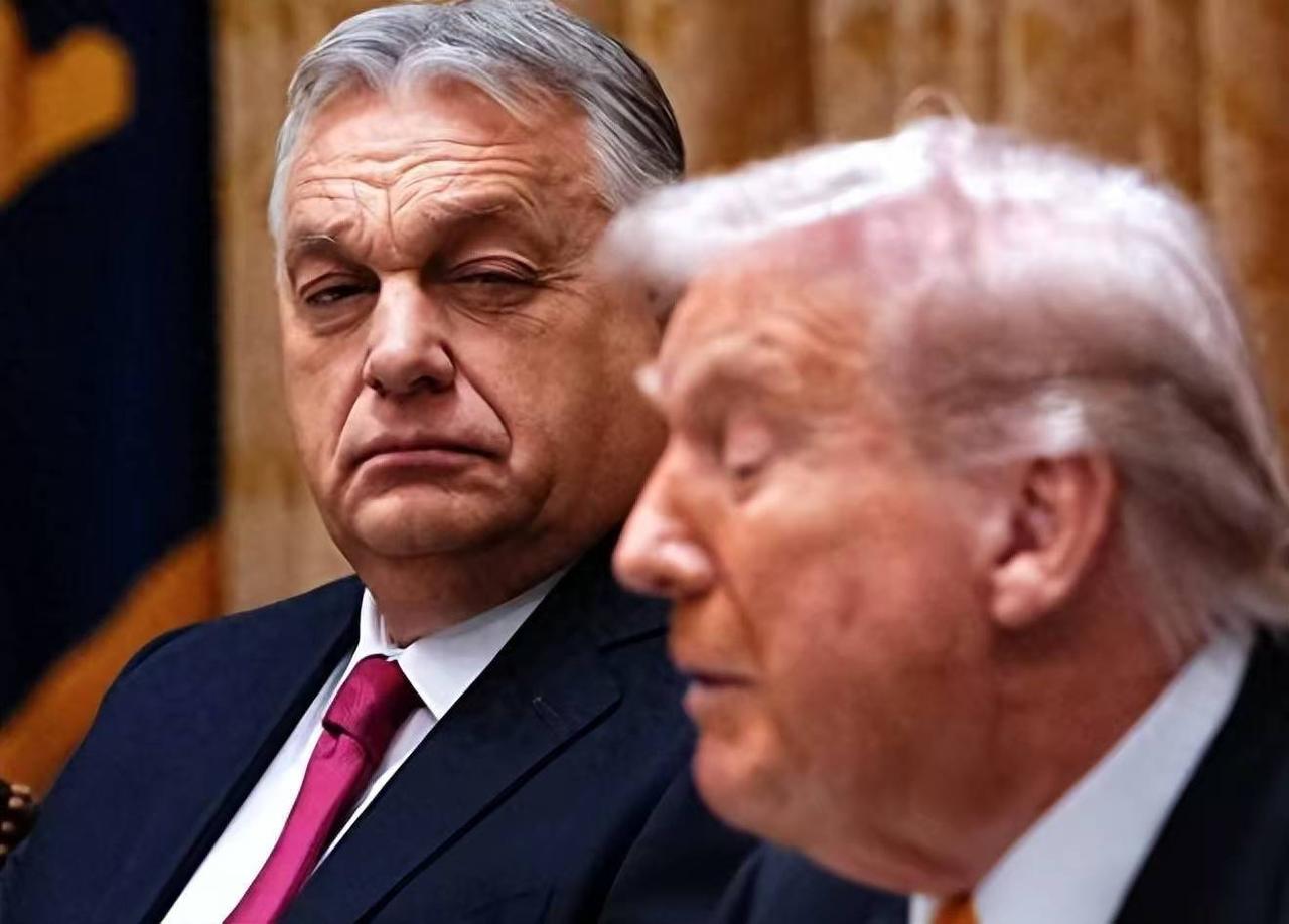 欧尔班竞选恐怕要凉凉了。

匈牙利最新的民调数据显示，欧尔班的数据太惨了，反对党