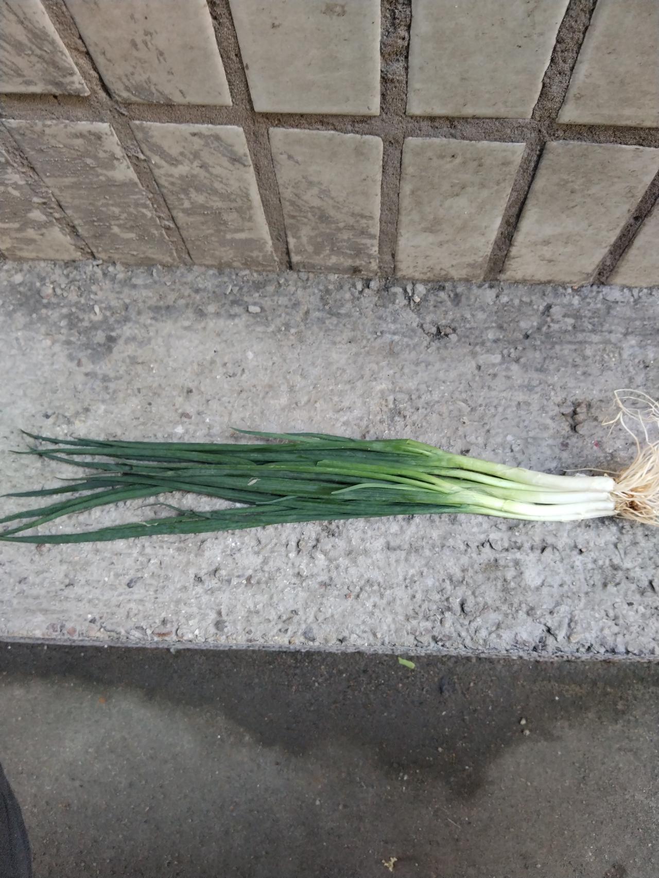 今天看到一篇文案，他说100000块钱就可以躺平，每个月花157，每年花2000