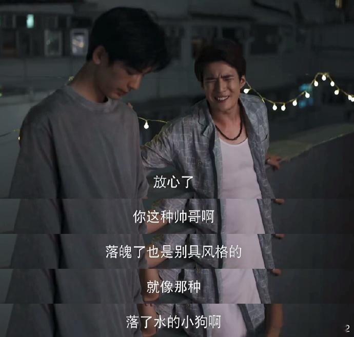 张凌赫好像落水小狗俺不中了 果然还是官方吐槽最有趣 不过说真的张凌赫就算是黑了破
