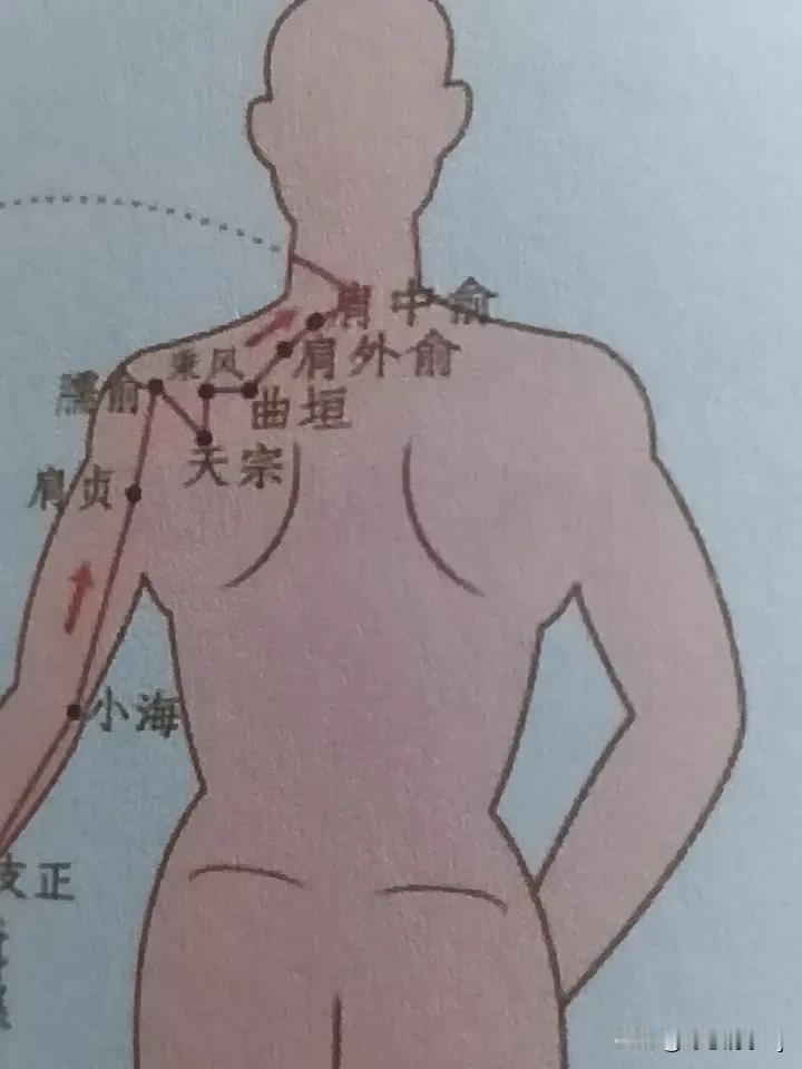 为什么颈椎病患者,会伴随背疼? 现在，很多人一直以为低头刷手机熬是小毛病，直到后