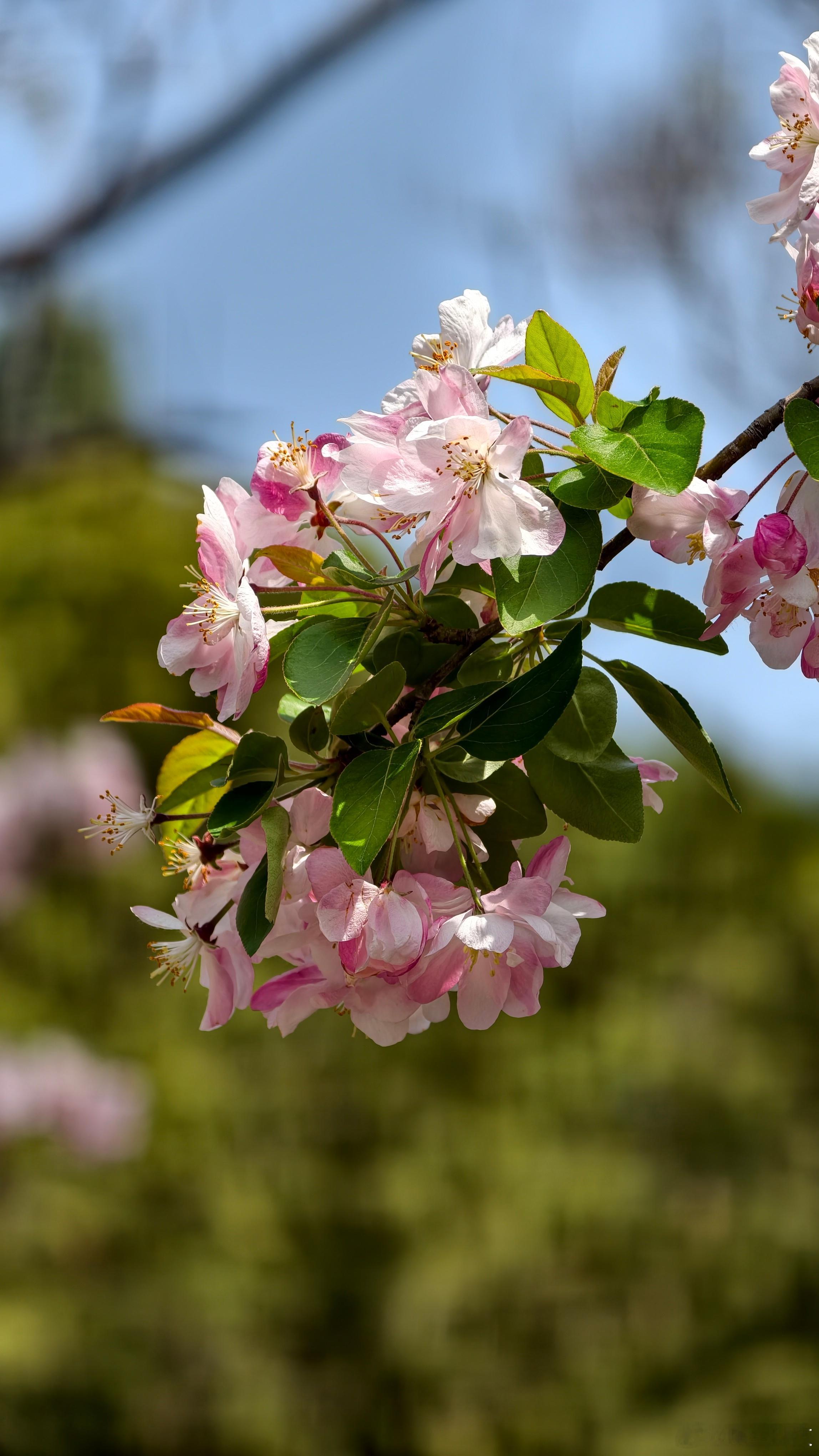 增距镜是出游神器还是累赘那比迷你伞还要小的体积对比出片的震撼程度，包是神器而不是