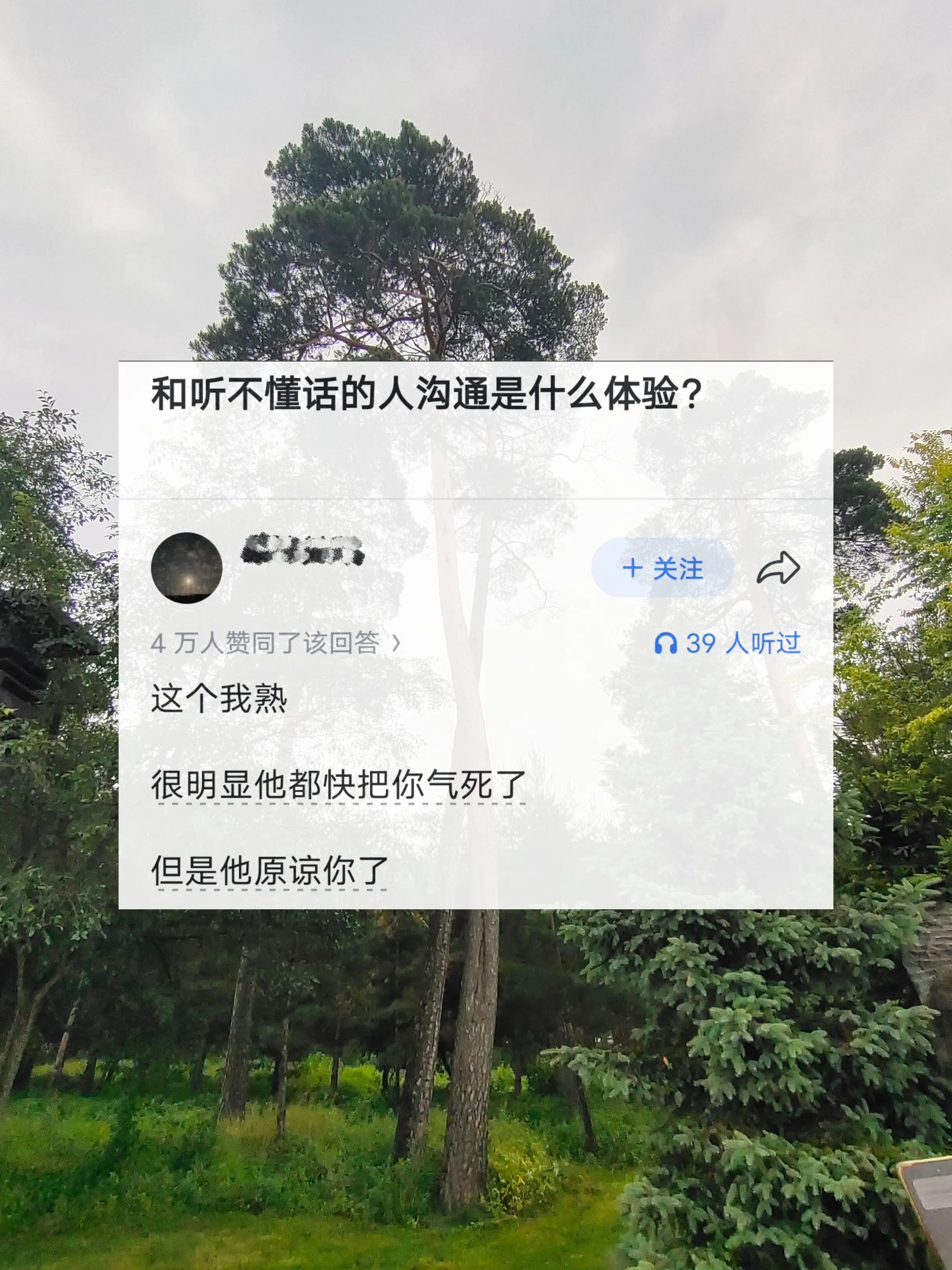 和听不懂话的人沟通是种什么体验？