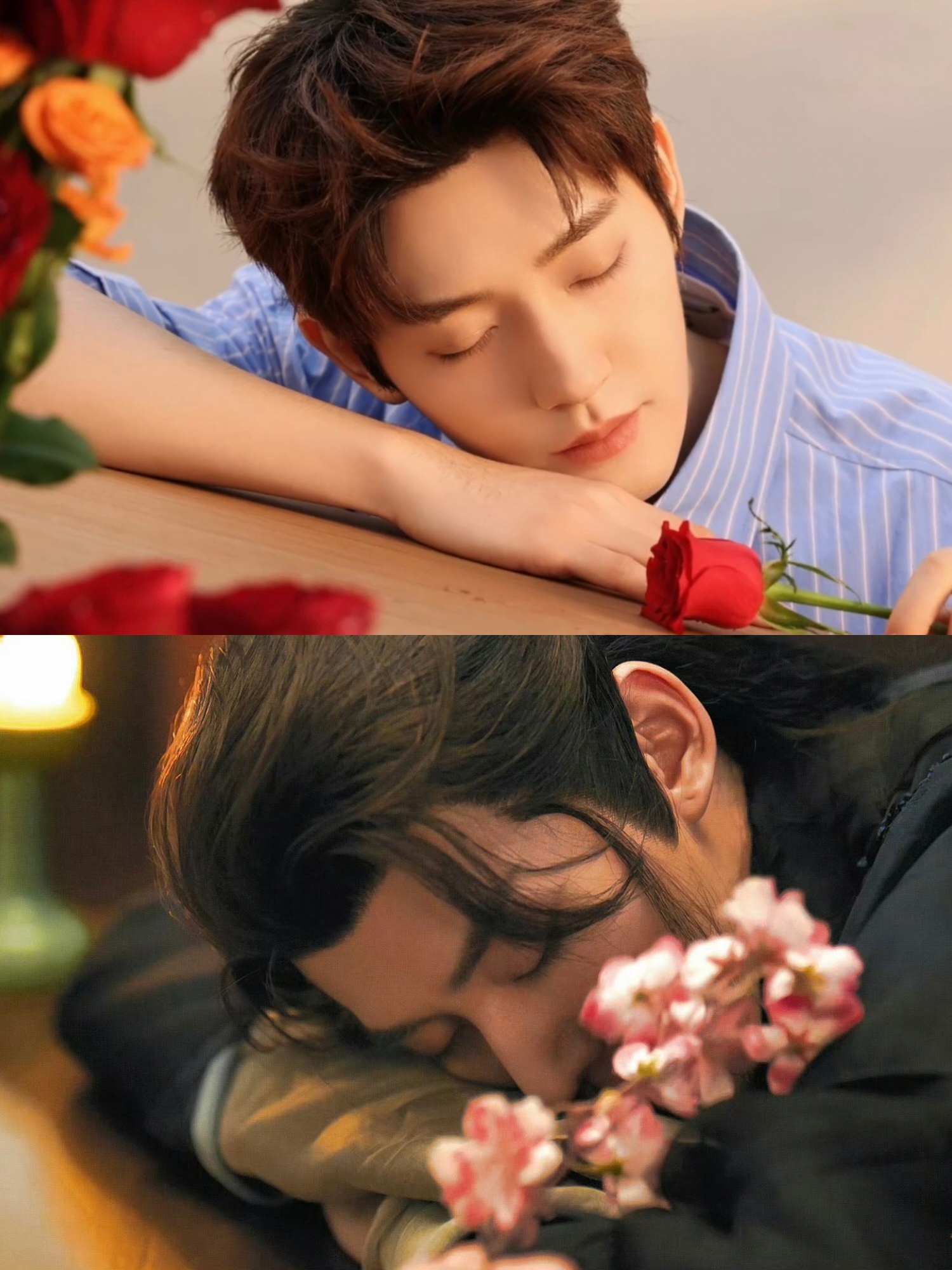 美神的前世今生🌹 